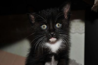 biegunki-i-wymioty - zdjęcie 2