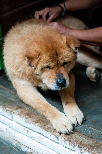 Biegunki i wymioty: Kiedy domowe metody zawodzą?