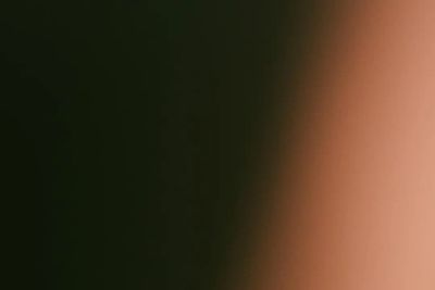 kot-poza-kuweta - zdjęcie 1