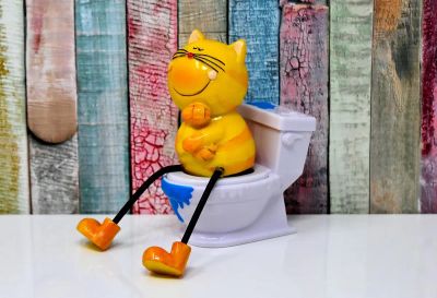 kot-poza-kuweta-kiedy-domowa-higiena-staje-sie-wyzwaniem - zdjęcie 1