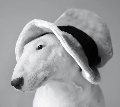 lek-separacyjny - zdjęcie 1