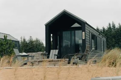 Zdrowa karma dla kota