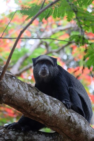 mity-zywieniowe - zdjęcie 1