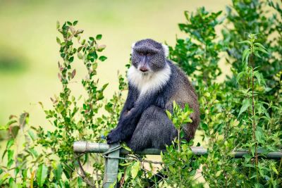 mity-zywieniowe - zdjęcie 2