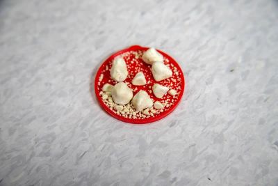 Niewydolność nerek u kotów: Cichy zabójca pod lupą