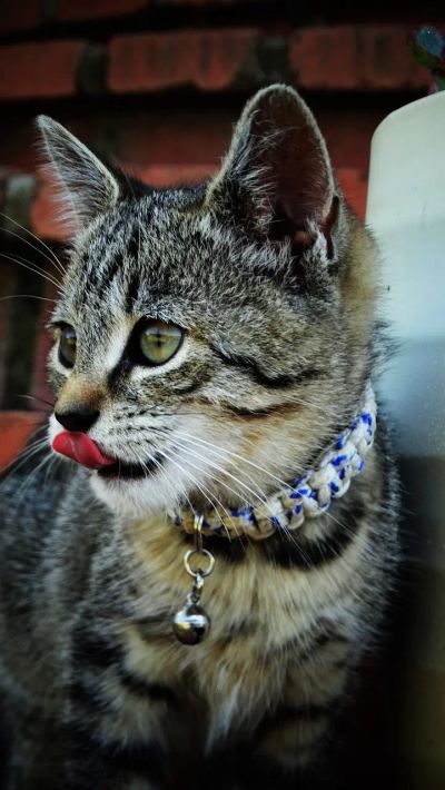 przywolanie-awaryjne - zdjęcie 2