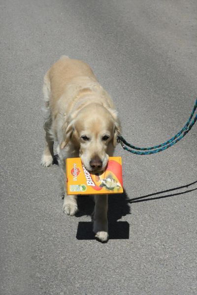 Smaczki treningowe – zdrowy wybór