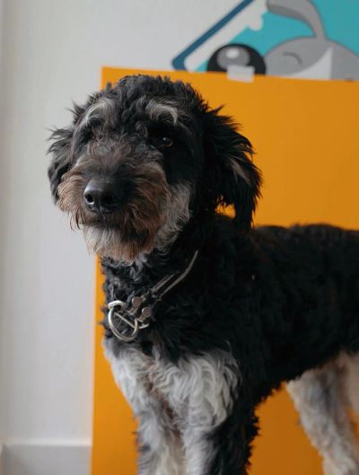 zatrucia-pokarmowe - zdjęcie 2