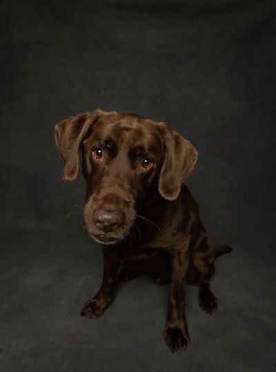 zatrucia-pokarmowe-w-domu - zdjęcie 1